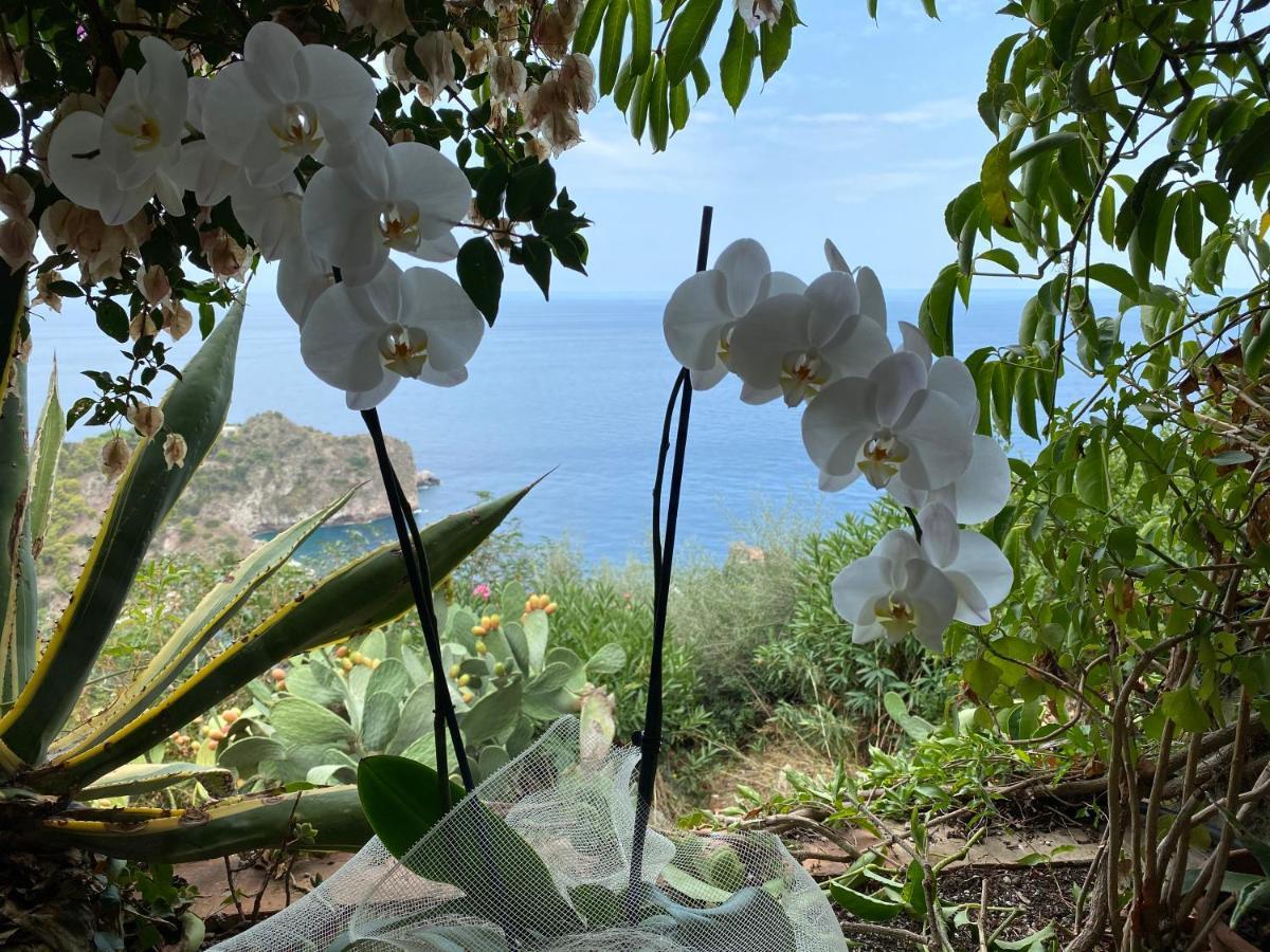 Villa Don Mimì Guarnaschelli la dependace Taormina Esterno foto